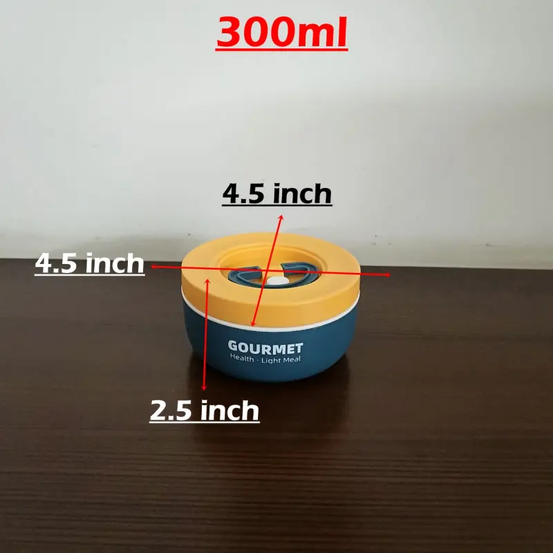 3 Piece Blue Gourmet Stainless Steel Lunch Box With Bag