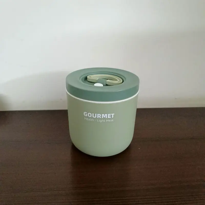 3 Piece Green Gourmet Stainless Steel Lunch Box With Bag