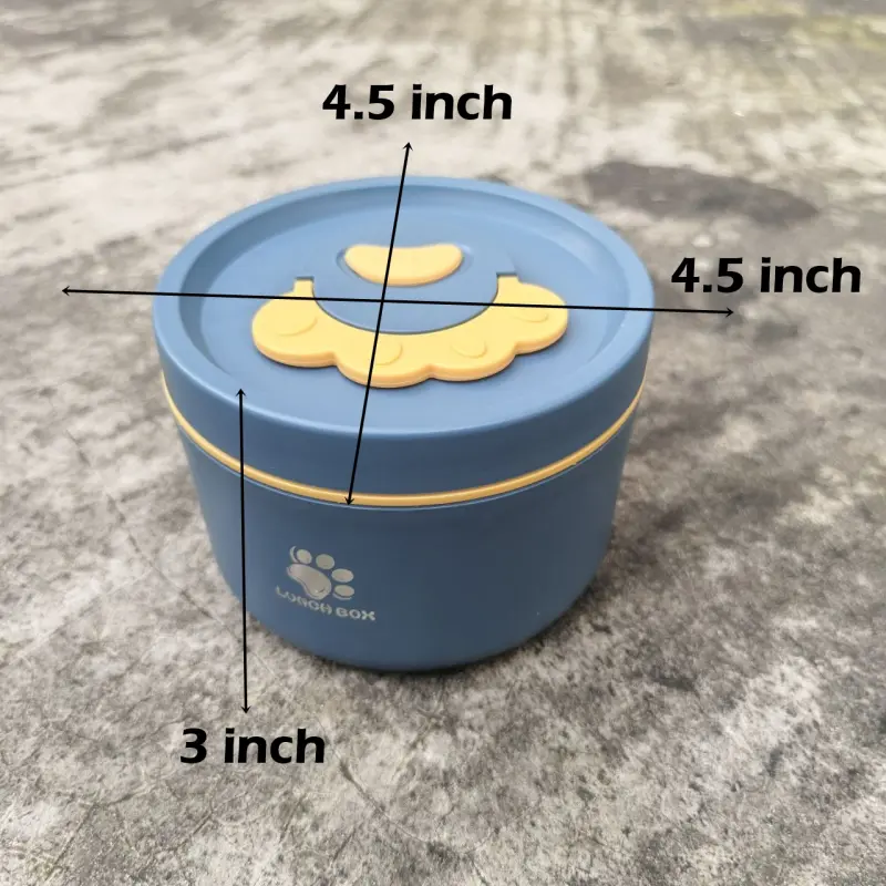 4 Piece Stainless Steel Green Lunch Box With Foil Bag